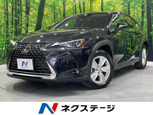 UX250h バージョンC
