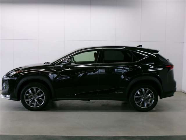NX300h Fスポーツ 4WD