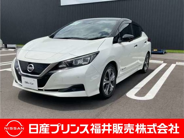 リーフ