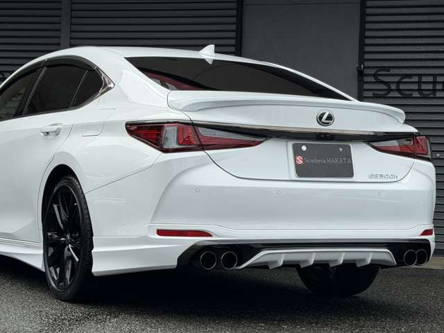 F SPORT&rdquo;��p���Q�[�W�h�A�K�[�j�b�V��(�������b�L)�E�����X�|�C���[