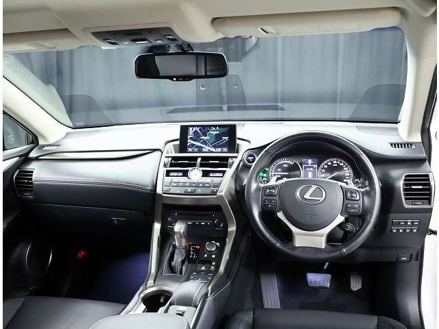 NX300h Iパッケージ 4WD