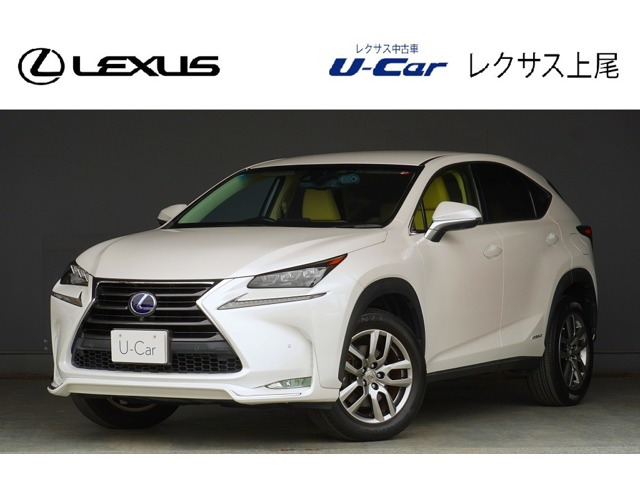 NX300h バージョンL