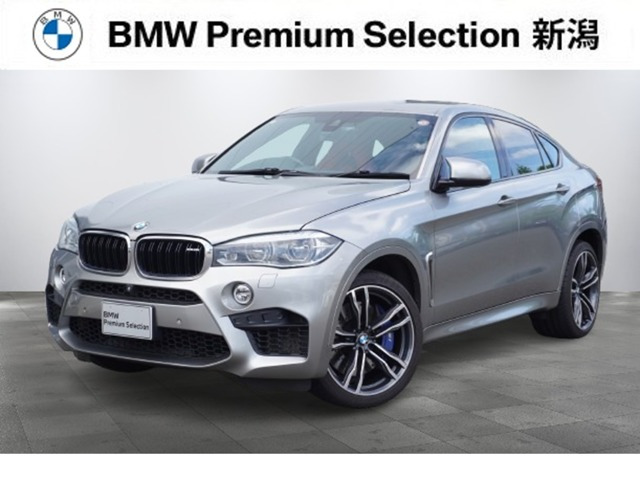 X6 M