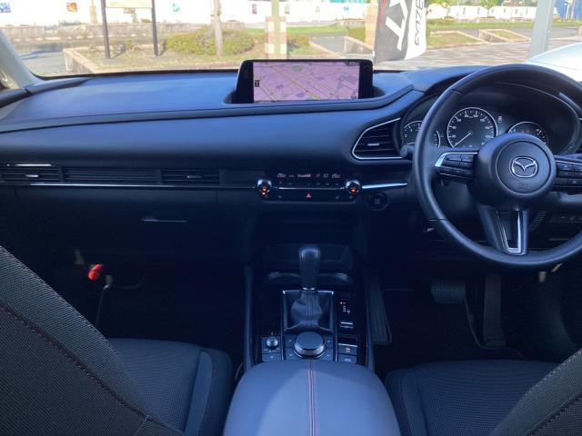 CX-302.0 20S