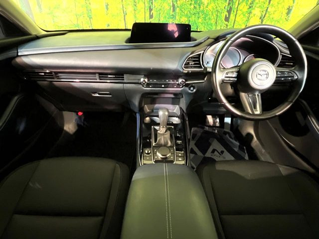 CX-302.0 20S