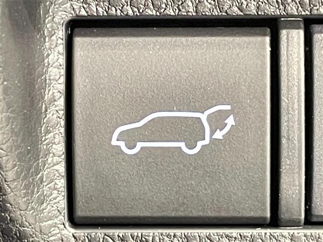 RAV42.0 アドベンチャー 4WD