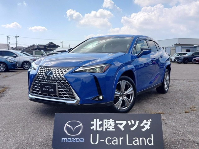 UX250h グレイスフル エクスプローラー