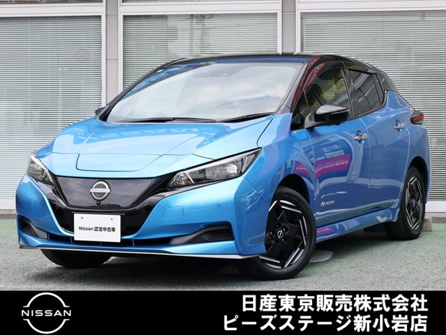 リーフe+ X