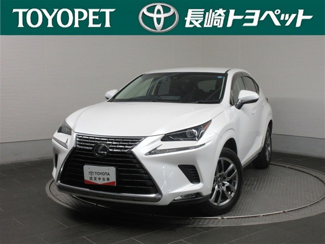 NX300h