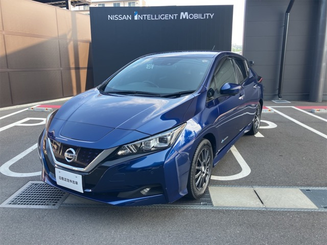 リーフX