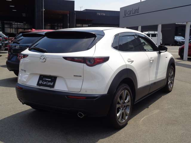CX-301.8 XD 100周年特別記念車 4WD