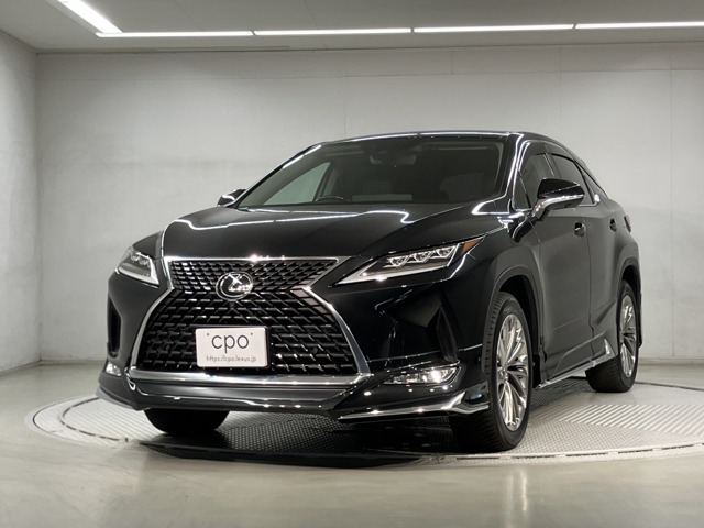 RX300 バージョンL