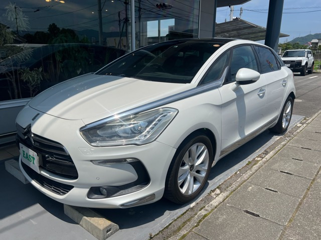 DS5シック