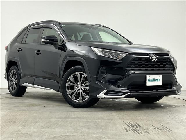 RAV42.0 X