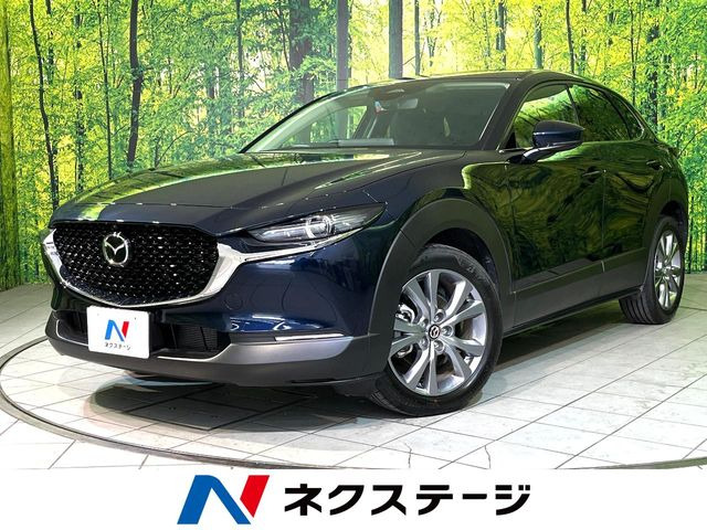 CX-302.0 20S