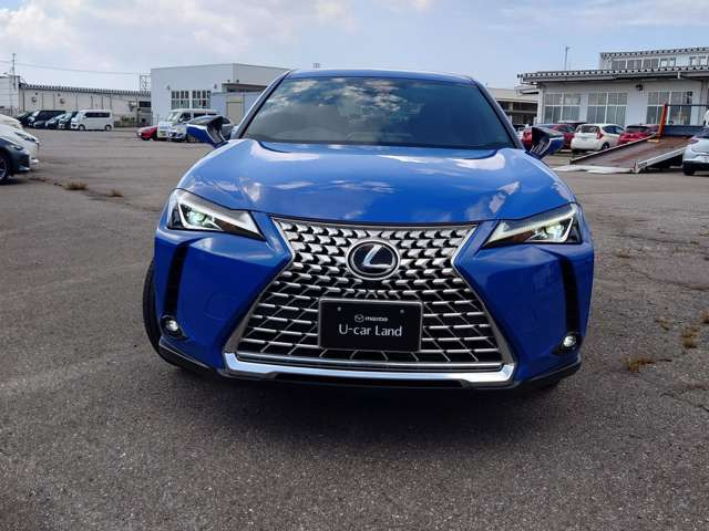 UX250h グレイスフル エクスプローラー