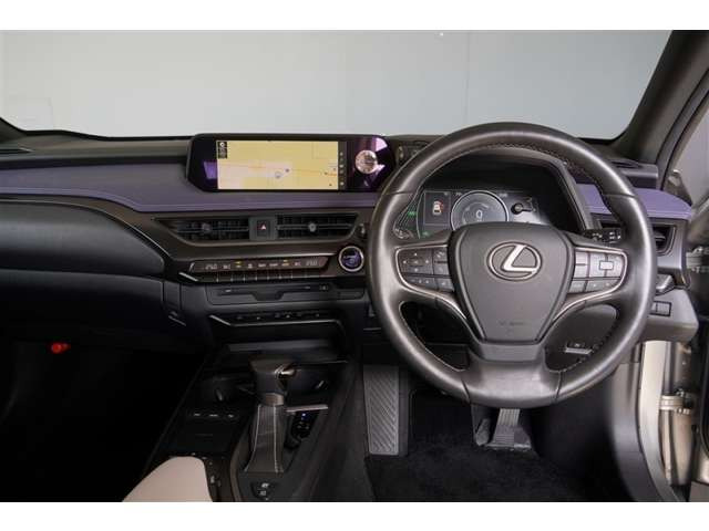 UX250h バージョンC