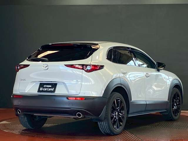 CX-30