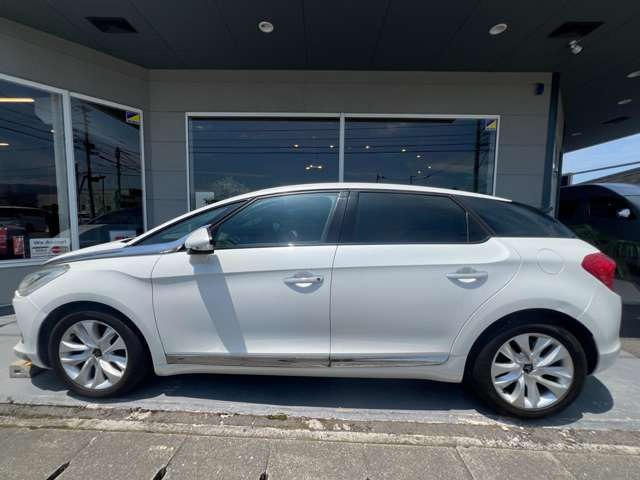 DS5シック