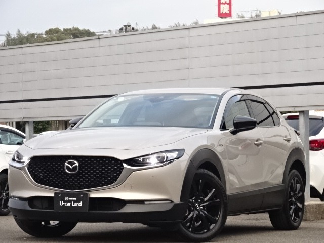 CX-30