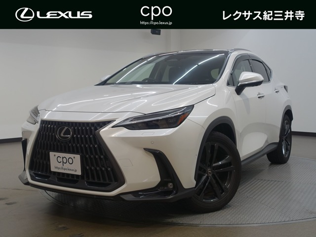 NX350h バージョンL
