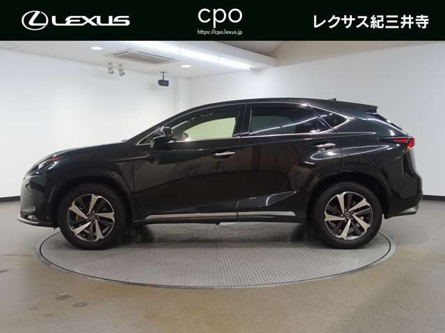 NX300
