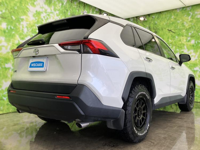 RAV42.0 X