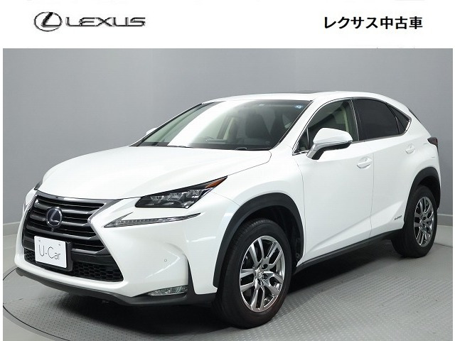 NX300h Iパッケージ 4WD