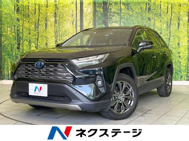 RAV42.5 ハイブリッド G E-Four 4WD