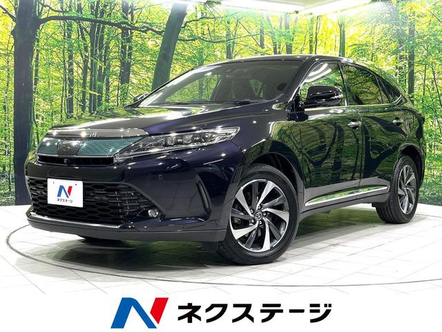 ハリアー2.0 プログレス メタル アンド レザーパッケージ