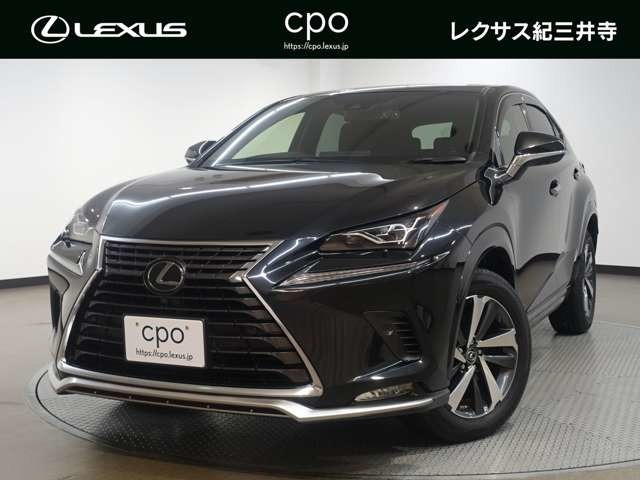 NX300
