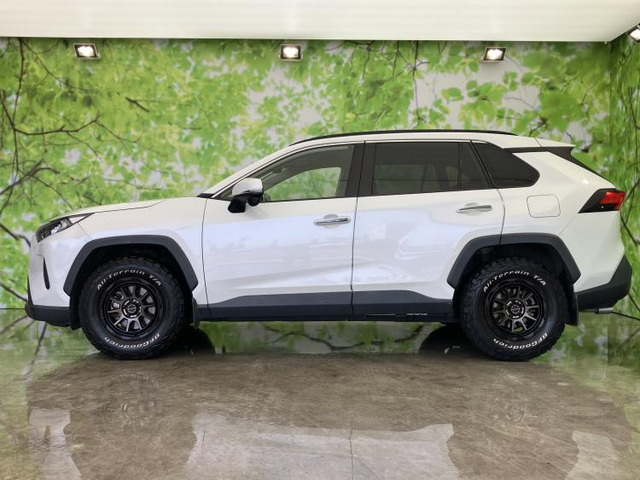 RAV42.0 X
