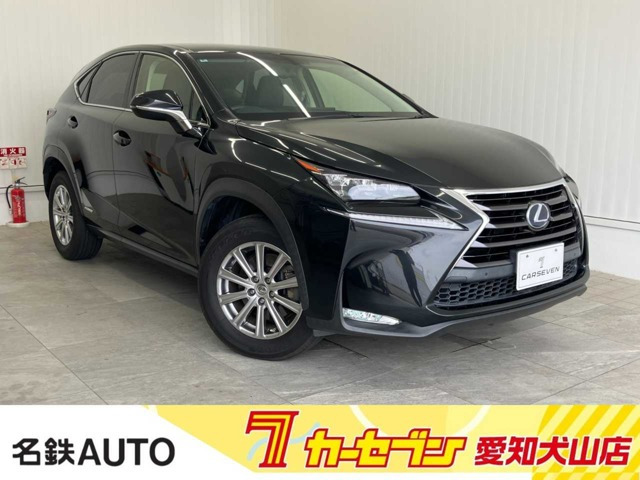 NX300h Iパッケージ