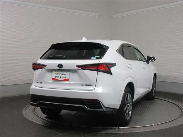 NX300h