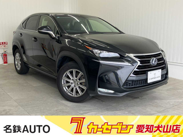NX300h Iパッケージ