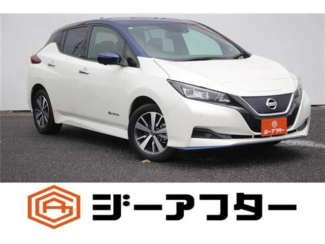 リーフe+ X