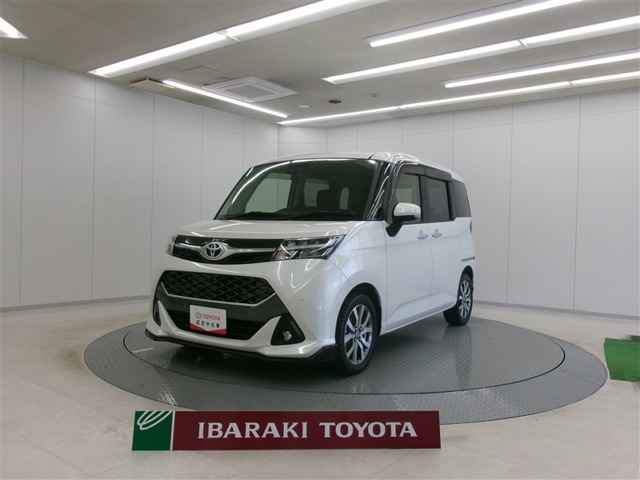 タンク1.0 カスタム G-T