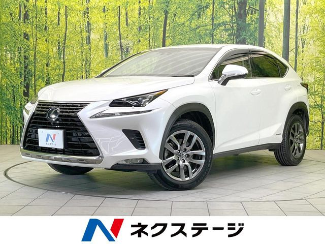 NX300h バージョンL