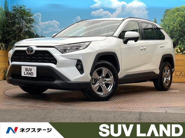 RAV42.0 X