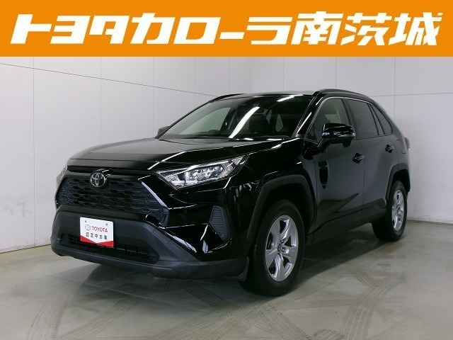 RAV42.0 X