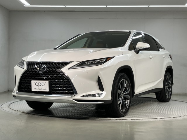 RX300 バージョンL