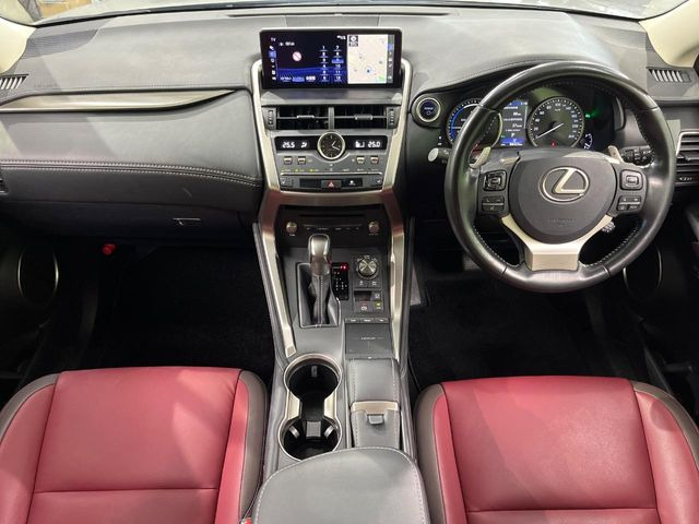 NX300h Iパッケージ