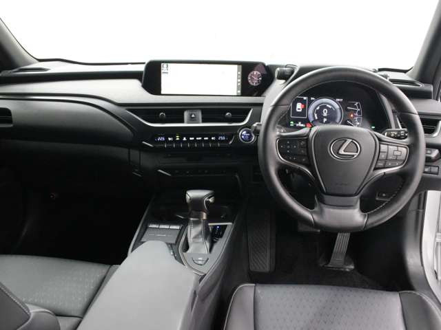 UX250h バージョンC