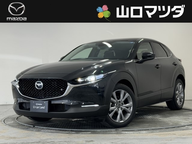 CX-302.0 20S プロアクティブ