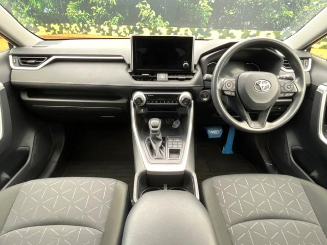 RAV42.0 X