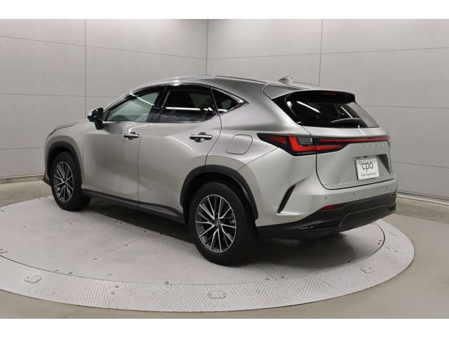 NX
