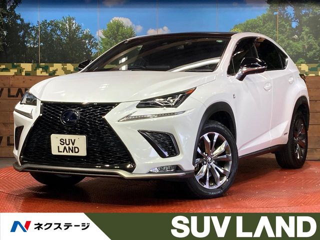NX300h Fスポーツ
