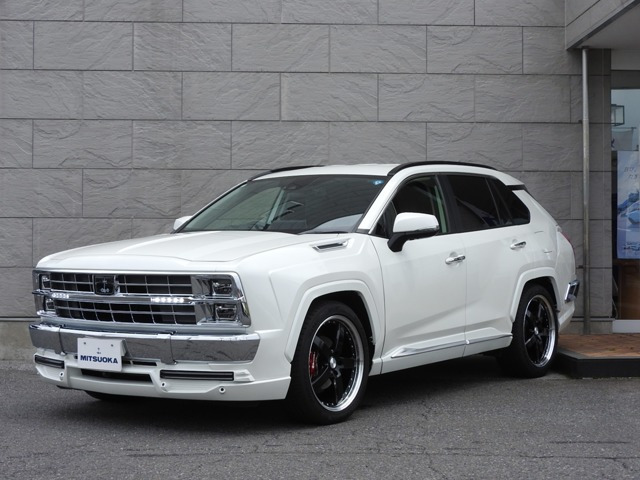 バディ2.5 ハイブリッド DX E-Four 4WD