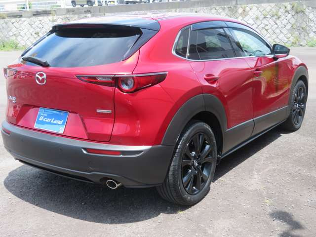 CX-30