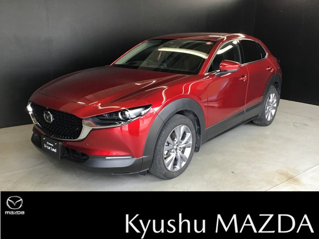 CX-301.8 XD Lパッケージ